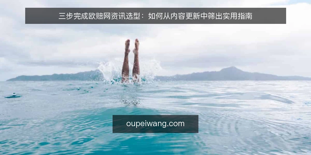 三步完成欧赔网资讯选型：如何从内容更新中筛出实用指南 — 选型前先明确决策标准 配图