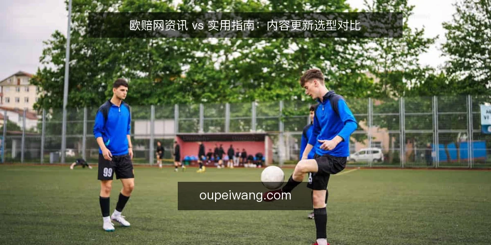 欧赔网资讯 vs 实用指南：内容更新选型对比 — 选型标准：先看内容更新目标 配图