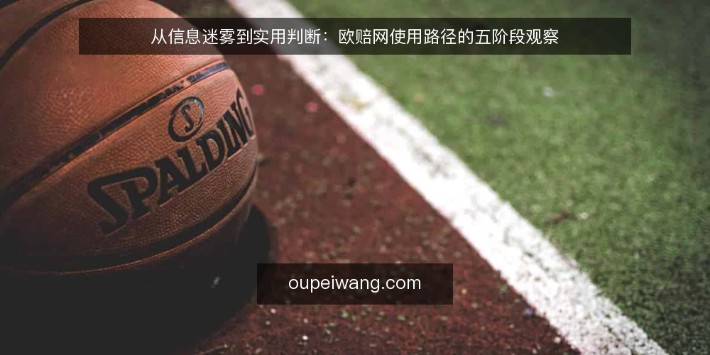 从信息迷雾到实用判断:欧赔网使用路径的五阶段观察 — 问题起点:数据更新与解读之间的落差 配图