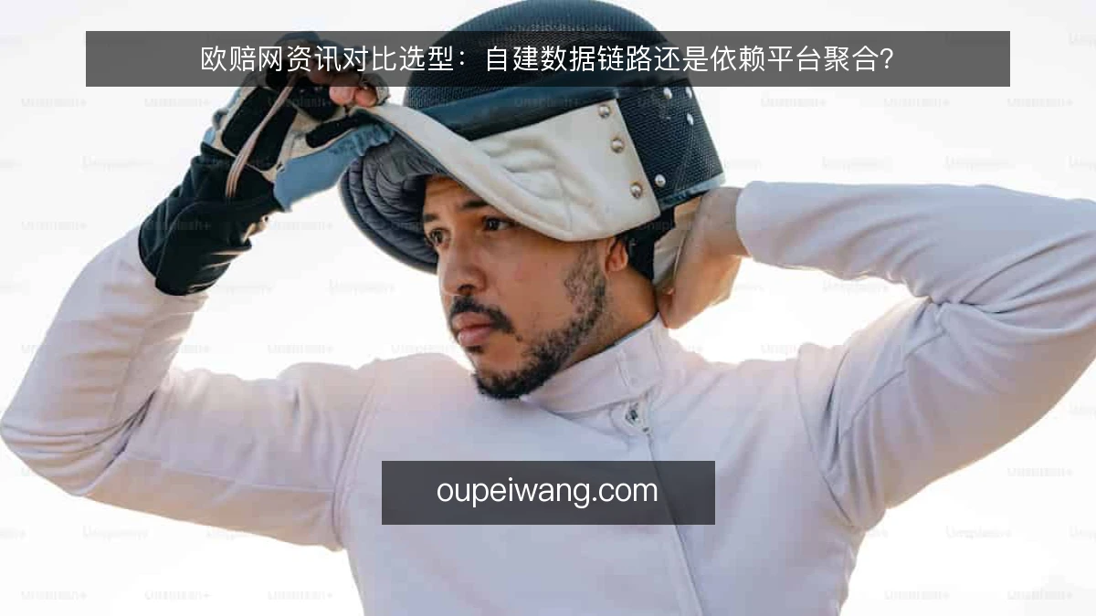 欧赔网资讯对比选型：自建数据链路还是依赖平台聚合？