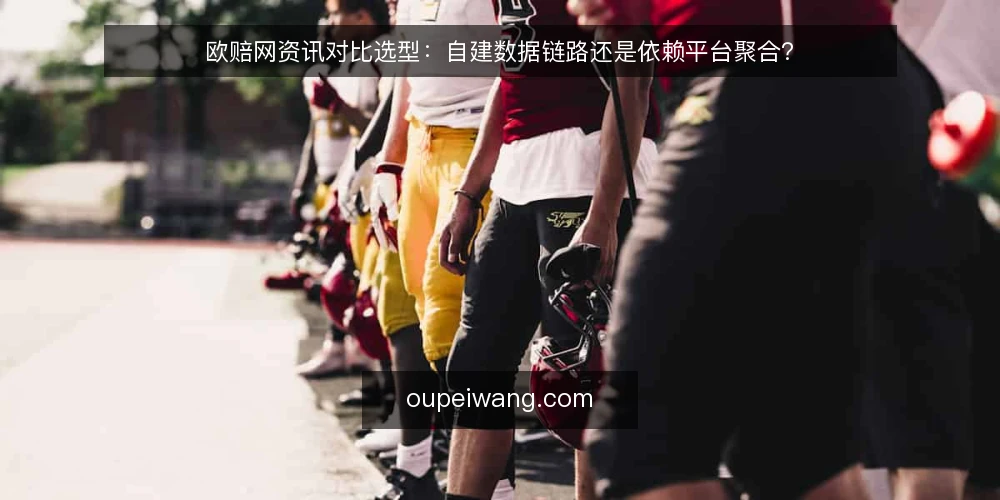 欧赔网资讯对比选型：自建数据链路还是依赖平台聚合？ — 明确需求边界 配图