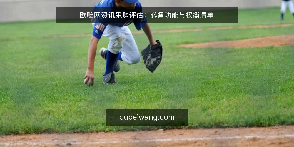 欧赔网资讯采购评估：必备功能与权衡清单 — 明确资讯采购的信息需求 配图