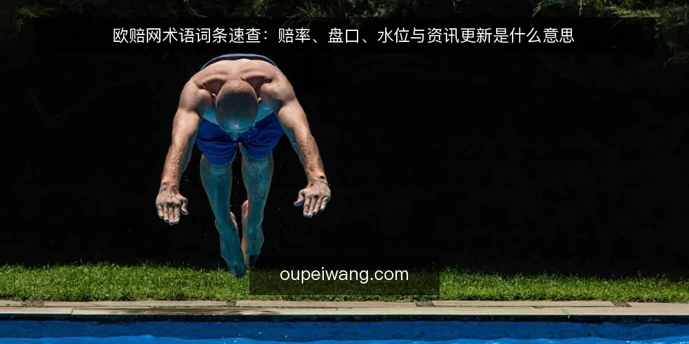 欧赔网术语词条速查:赔率、盘口、水位与资讯更新是什么意思 — 欧赔网相关术语怎么读:先分清这组基本词条 配图