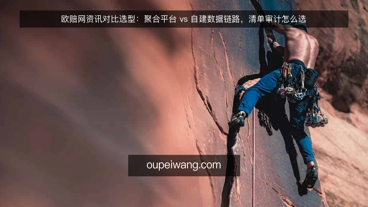 欧赔网资讯对比选型:聚合平台 vs 自建数据链路,清单审计怎么选