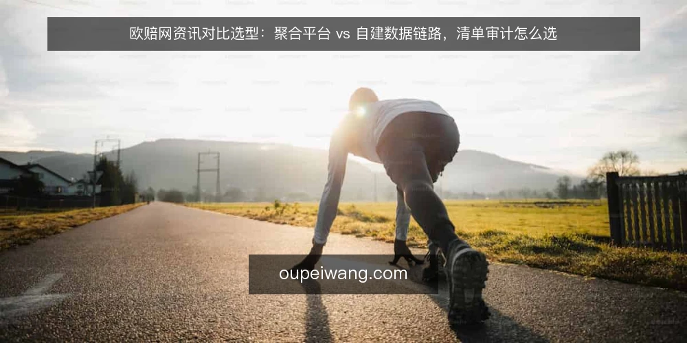 欧赔网资讯对比选型:聚合平台 vs 自建数据链路,清单审计怎么选 — 为什么现在要做这次审计 配图